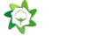Kareem corporation